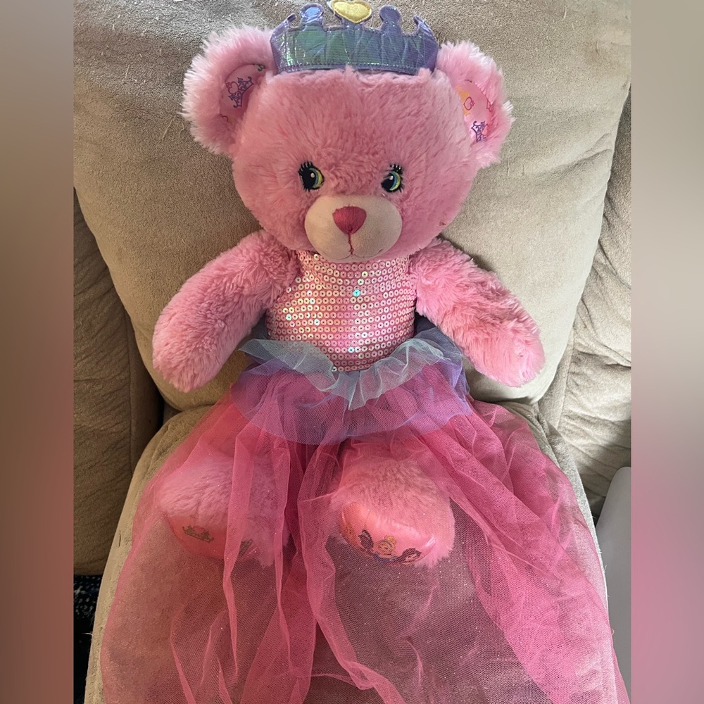 Build-A-Bear/ Disney Princess Bear!